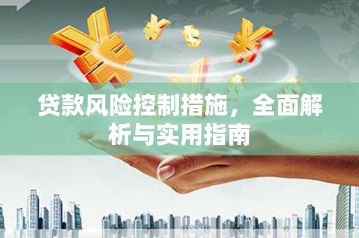 济阳贷款风险控制措施，全面解析与实用指南