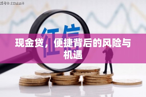 济阳现金贷，便捷背后的风险与机遇
