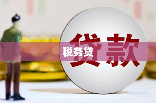 济阳税务贷