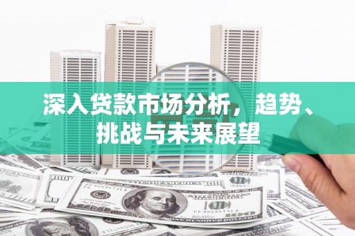 济阳深入贷款市场分析，趋势、挑战与未来展望