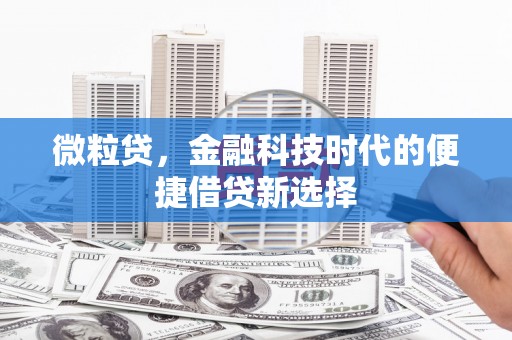 济阳微粒贷，金融科技时代的便捷借贷新选择