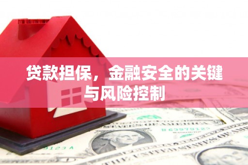 济阳贷款担保，金融安全的关键与风险控制
