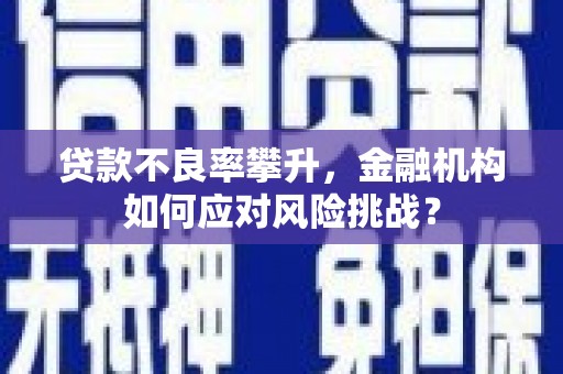 济阳贷款不良率攀升，金融机构如何应对风险挑战？