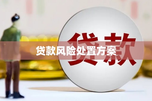 济阳贷款风险处置方案