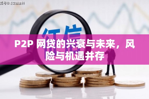 济阳P2P 网贷的兴衰与未来，风险与机遇并存