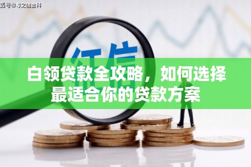 济阳白领贷款全攻略，如何选择最适合你的贷款方案